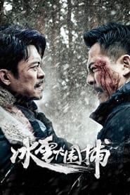 Snow Storm (2024)